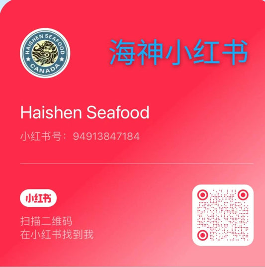 海神集团小红书上线试运行!