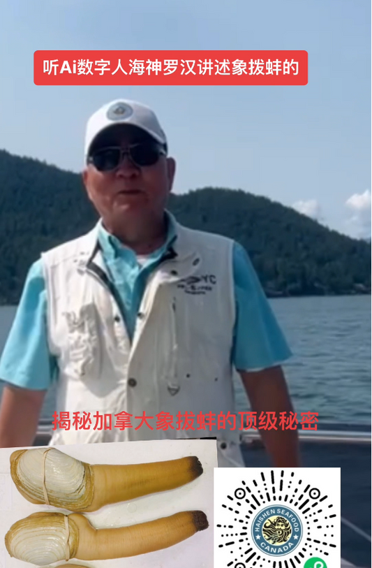 “30年珍藏的鲜美:揭秘加拿大象拔蚌的顶级秘密”