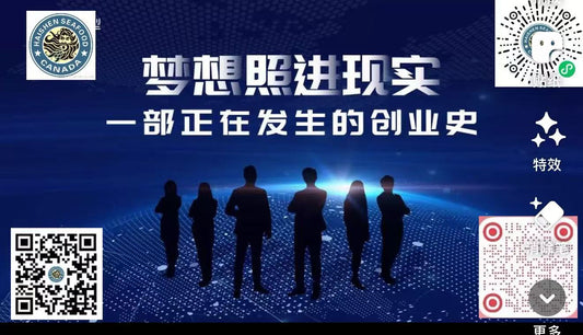海神集团25年的成长。五大销售平台全面开放!🎯