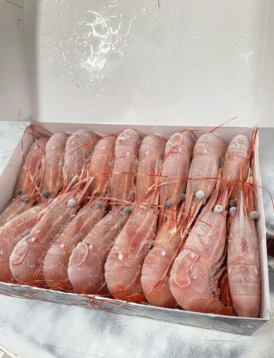 【加拿大超低温急冻牡丹虾 · 常年供应】
