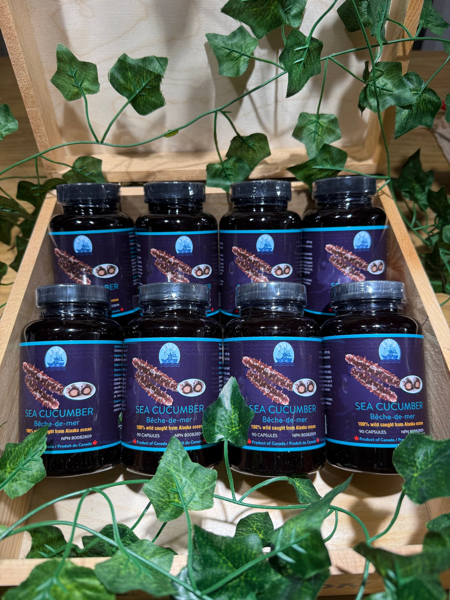 高性价比滋补礼盒来了!阿拉斯加干海参 + 精粉组合。