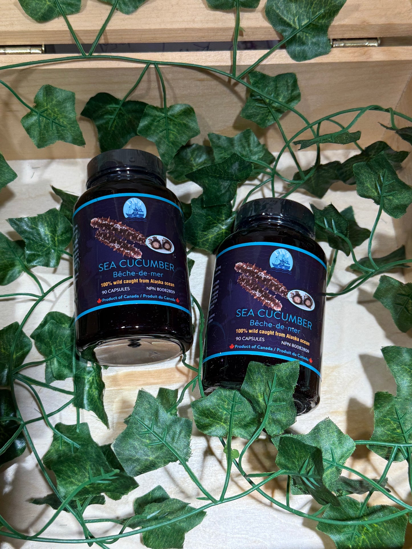 【全球配送】阿拉斯加参本元