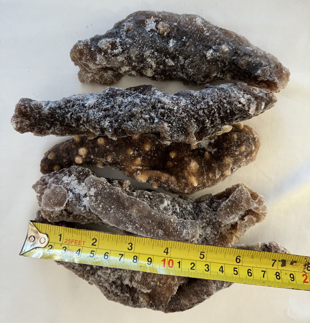 加拿大即食冷冻海参皮;10磅起下单(每磅4-6条)温哥华价格$19.99加元/磅 - 加拿大海神