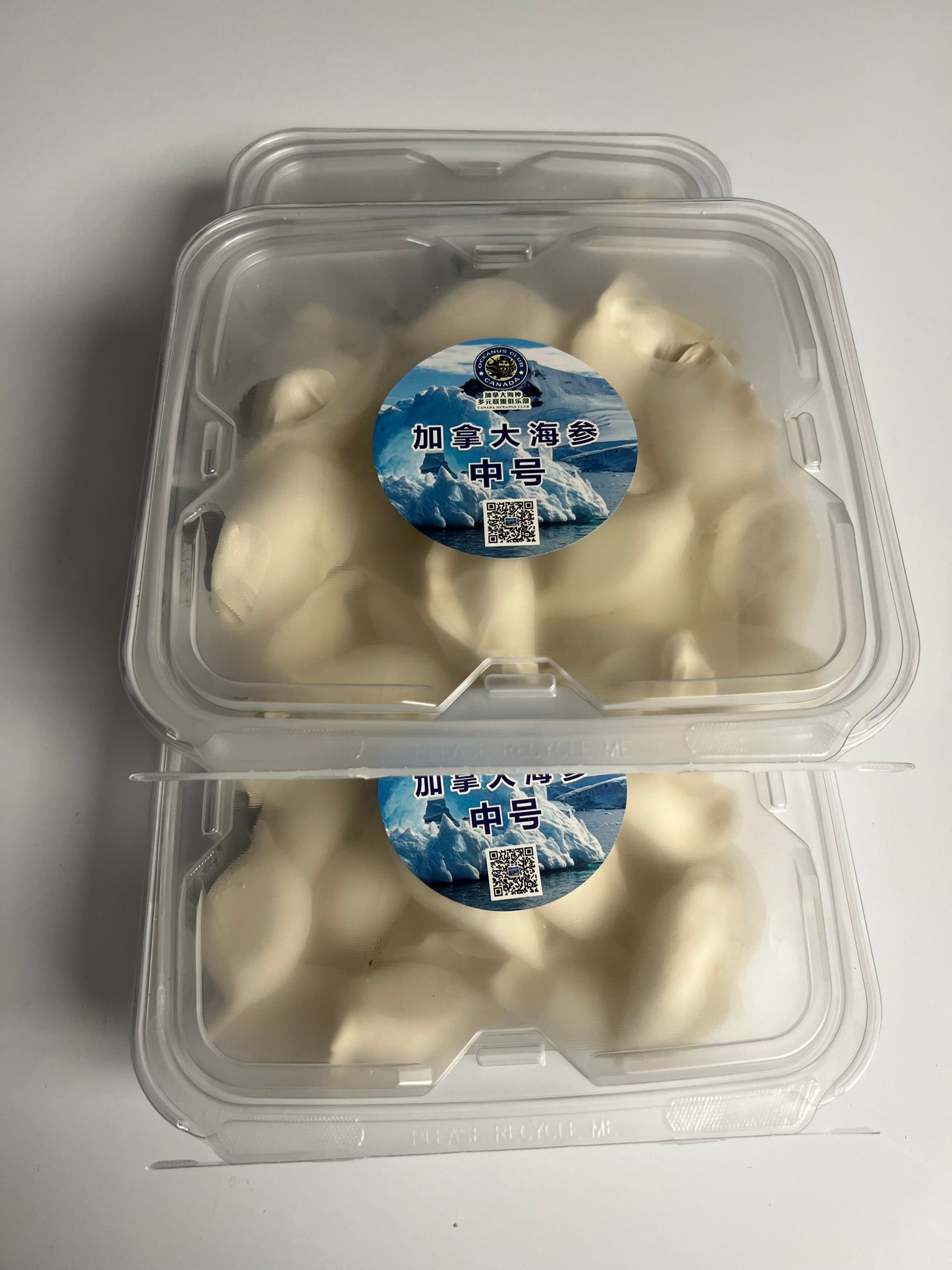 海神推出限量版的“海神包罗海味”海参冷冻包子。由大温40多年经验的顶级厨师巧妙调配,令人心服口服。每盒10个,现已开始网上下单。请您品尝这独特美味!每盒35加币,下单2盒起。 - 加拿大海神