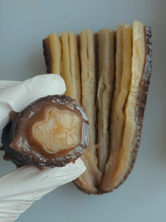 阿拉斯加即食海参.每箱10斤(每根单独包装,每斤3-4条) - 加拿大海神