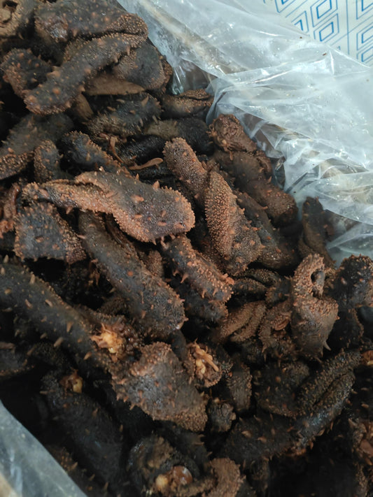 【中国/加拿大配送】加拿大盐渍海参皮