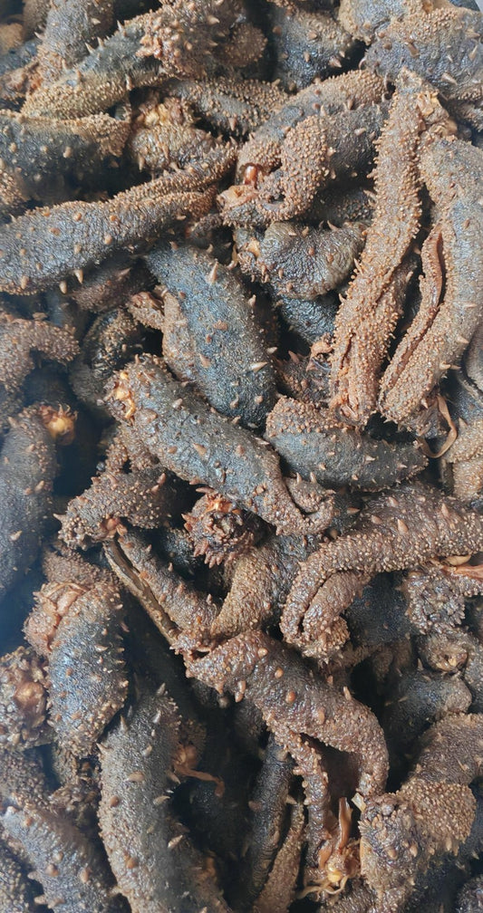 【中国/加拿大配送】加拿大盐渍海参皮