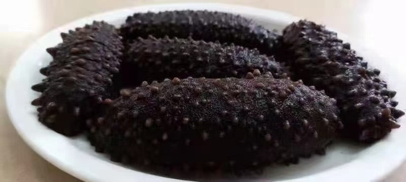 厄瓜多尔龟岛海参温哥华派送