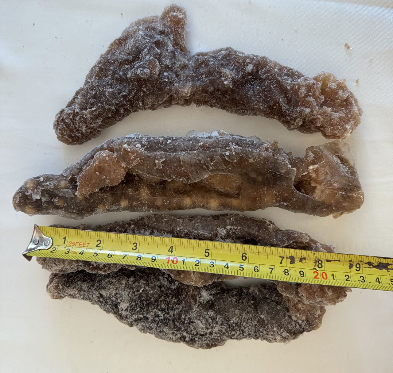 加拿大即食冷冻海参皮;10磅起下单(每磅4-6条)温哥华价格$19.99加元/磅 - 加拿大海神