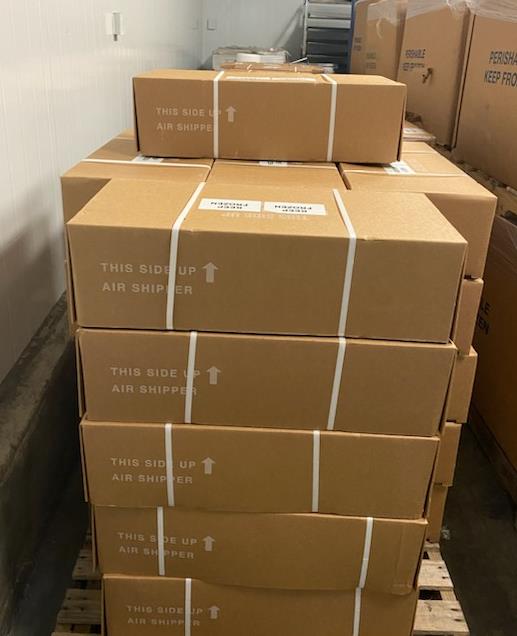 大量批发阿拉斯加盐渍海参皮大号(6-9条)每磅价格;39.99加币。下单35磅/箱 - 加拿大海神