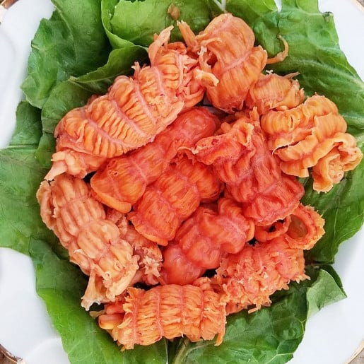 北极海参珊瑚蚌;每磅价格$19.99加元(每袋2磅)4袋起订下单! - 加拿大海神