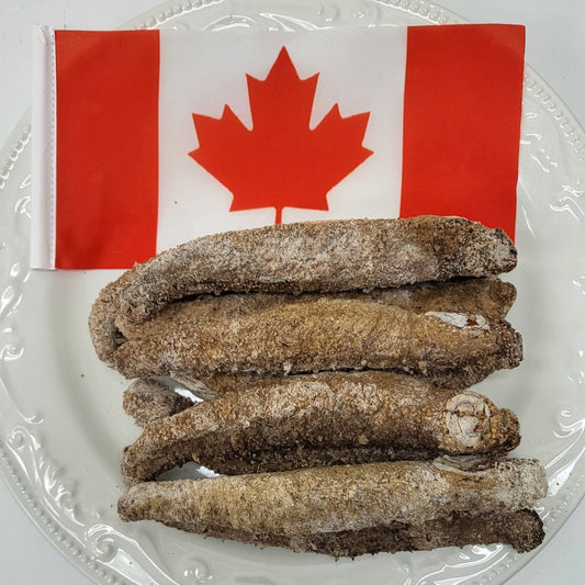 阿拉斯加干海参。每包1磅包装.(14-16头/磅) - 加拿大海神