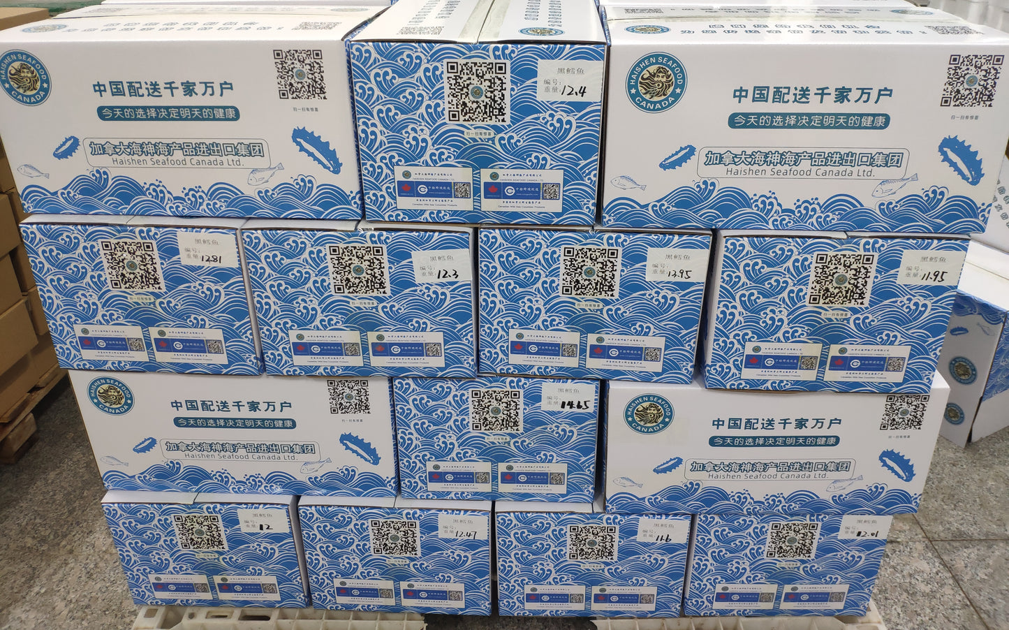 阿拉斯加黑鳕鱼Alaskan Black Cod Steak.(每箱包装三条去头去肚12斤左右)。 - 加拿大海神