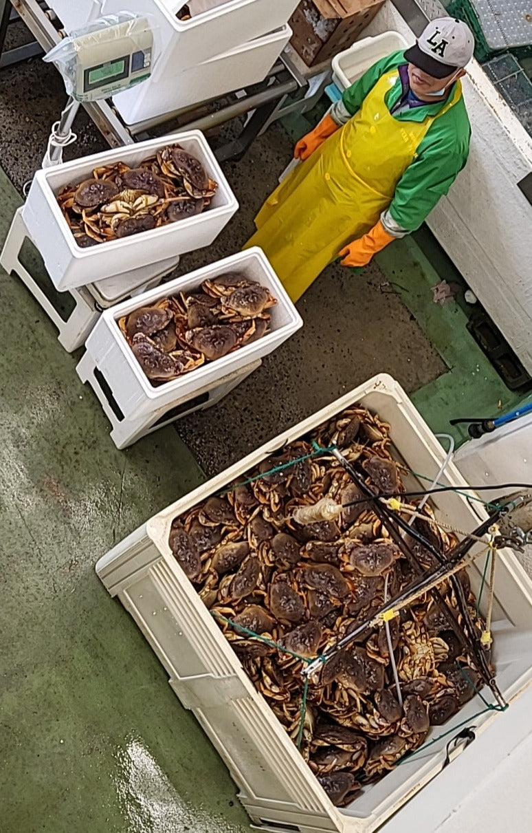 鲜活珍宝蟹 Dungeness Crab;每只(2.5磅) $;时价加元(接受预订每周六配送) - 加拿大海神