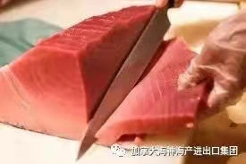 蓝鳍金枪鱼(时价)目前没有开季 - 加拿大海神