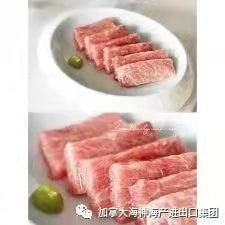 蓝鳍金枪鱼(时价)目前没有开季 - 加拿大海神