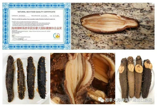 海神集团在这个美丽的秋季持续为大家带来最优质的海洋产品！