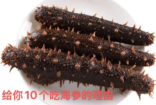 海神给你吃海参的10个理由！