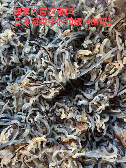 新品推介｜日本原装进口顶级棉蜇皮/棉蜇丝（加拿大首销，全新到货）