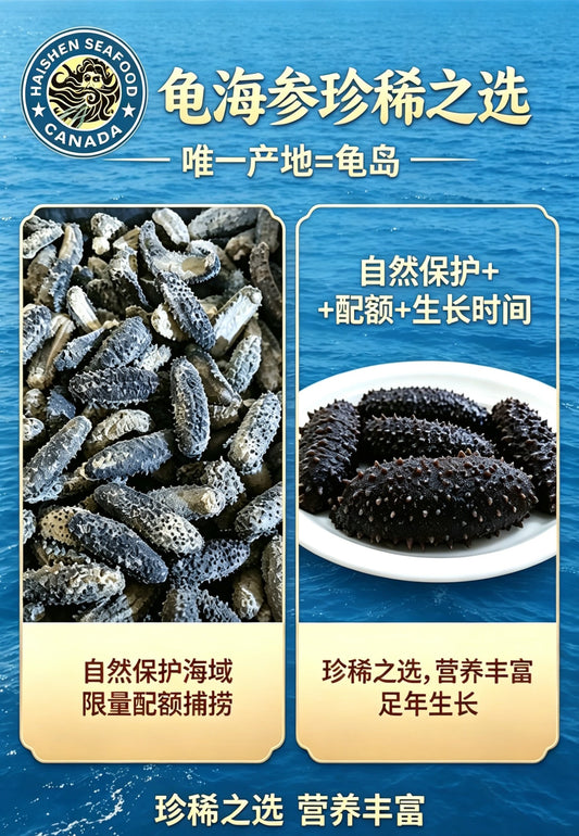 什么越来越多懂海参的人，开始选择龟岛海参？