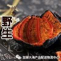 【加拿大】筒状干北极海参（两头开口淡干40-50头） 每磅；79.99加元。下单5磅起！