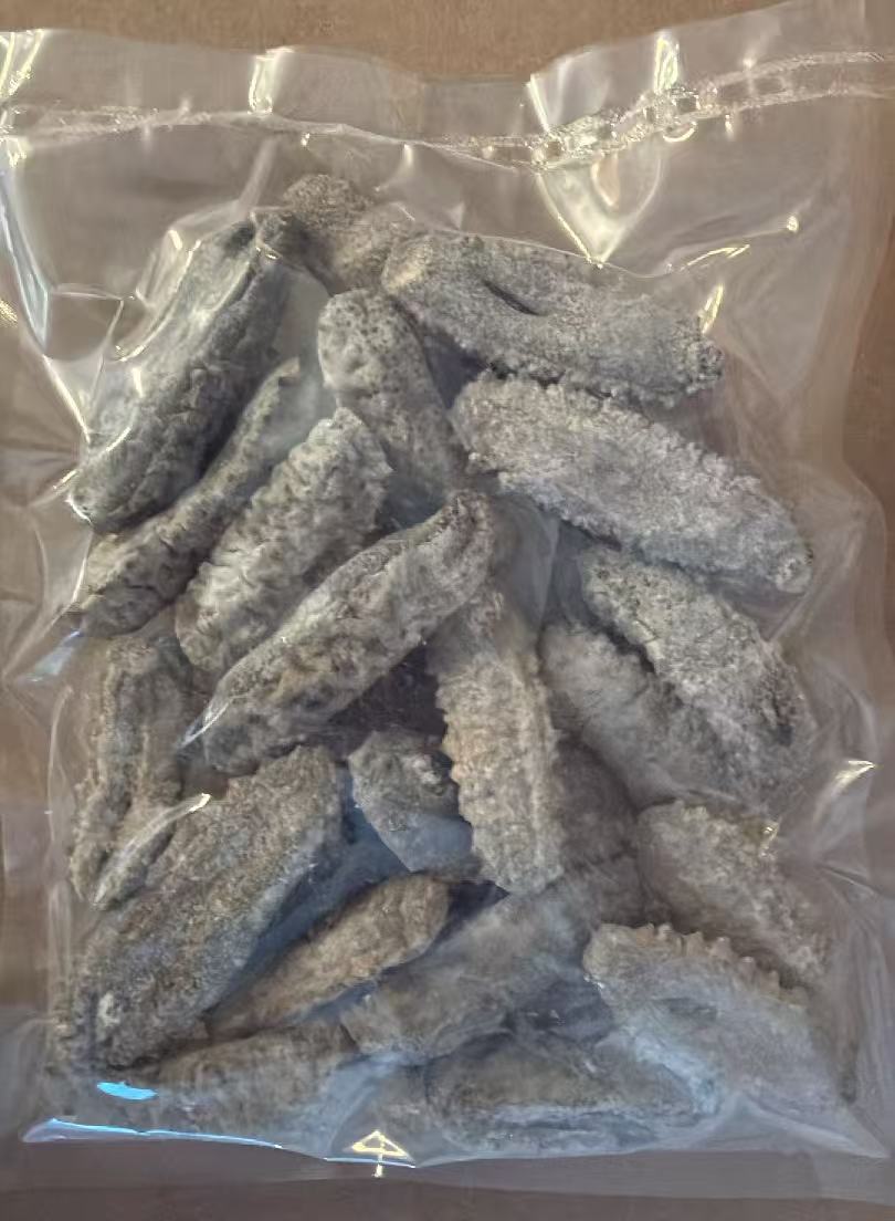 厄瓜多尔龟岛海参温哥华派送
