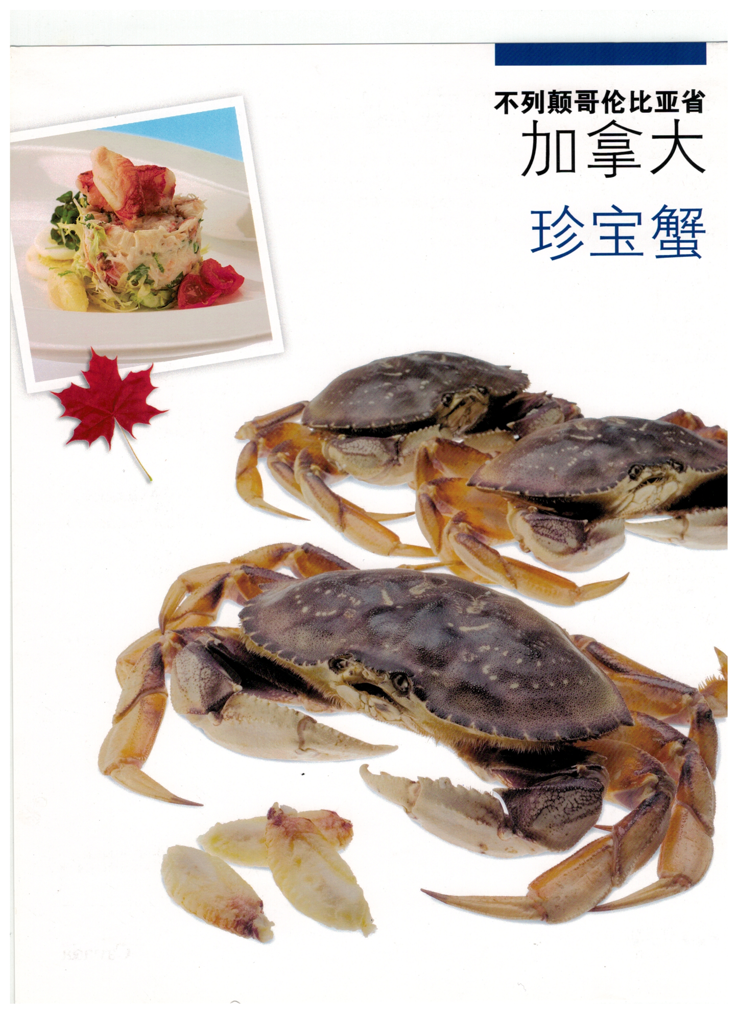 鲜活珍宝蟹 Dungeness Crab；每只（2.5磅） $；时价加元（接受预订每周六配送） - 加拿大海神