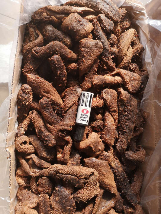 大量批发阿拉斯加盐渍海参皮大号（6-9条）每磅价格；39.99加币。下单35磅/箱 - 加拿大海神