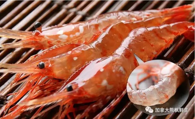 鲜活牡丹虾(特大)；每磅$29.99 ; 每盒（3磅）。开始陆续配送 - 加拿大海神